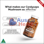 whole_cordyceps_mushroom_2_new Whole Cordyceps Mushroom 2 New