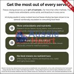 whole_cordyceps_mushroom_4_new Whole Cordyceps Mushroom 4 New